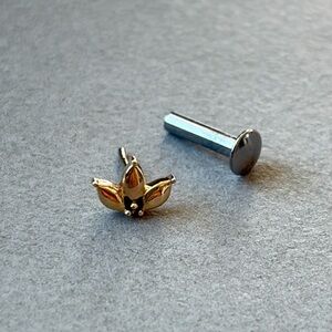 Modern Mood 14k gold Sol fan labret stud high polish with backing threadless end